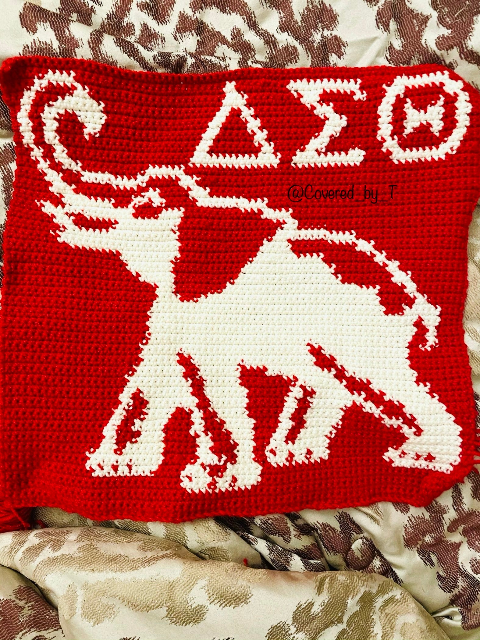 Delta Sigma Theta Pillow (Made to Order)